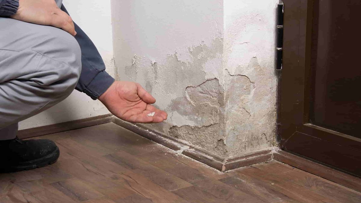 umidità di risalita