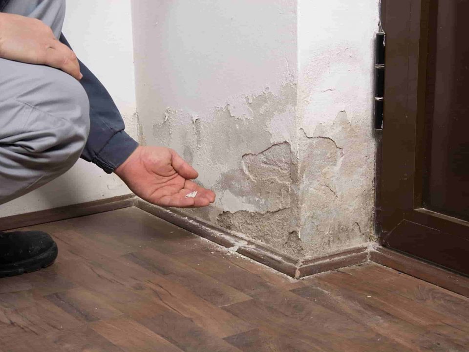 umidità di risalita