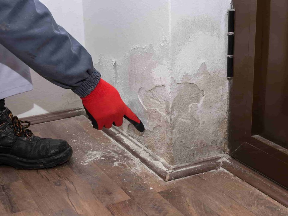 umidità di risalita