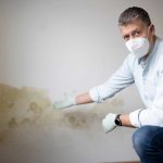 umidità di risalita