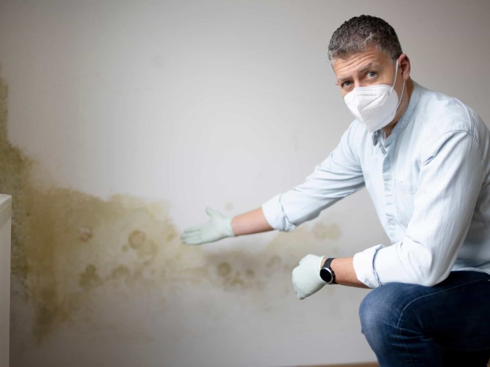 umidità di risalita