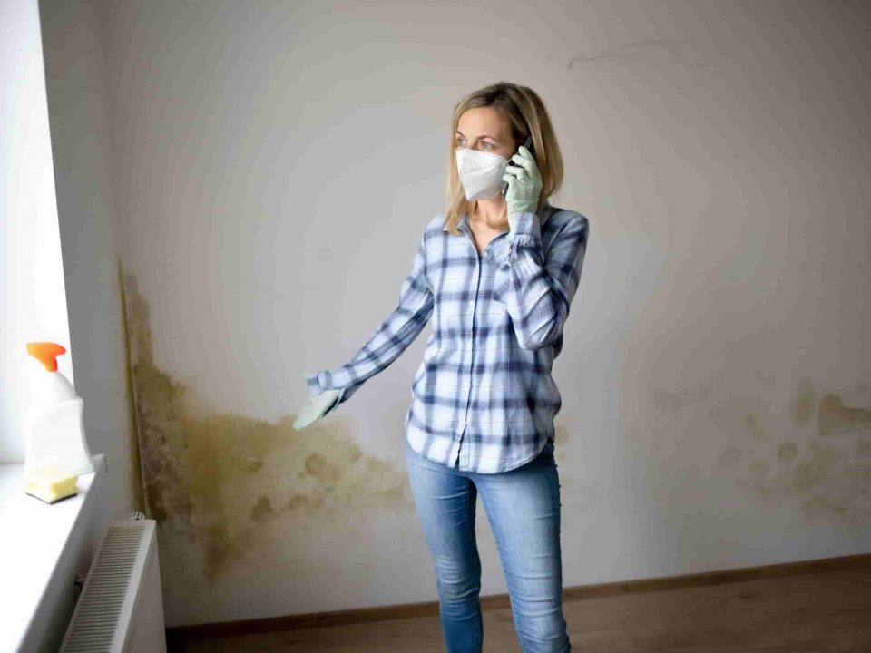 umidità di risalita