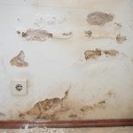 umidità in casa