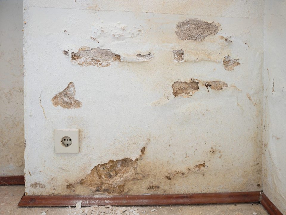 umidità in casa