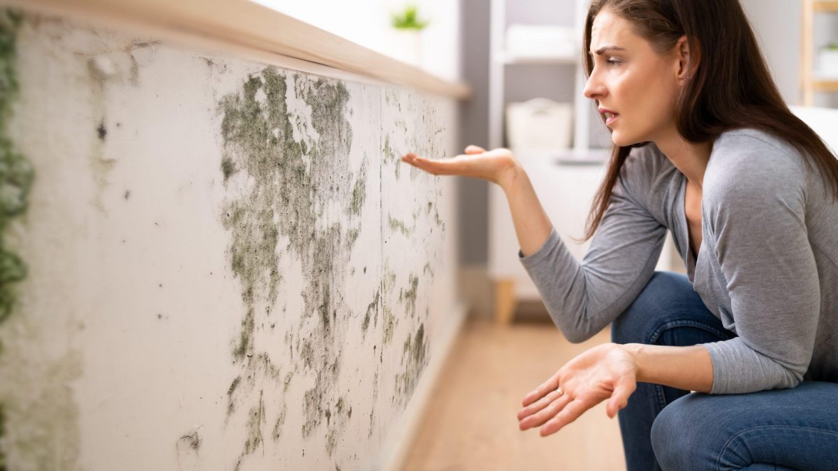 umidità di risalita capillare