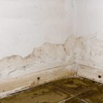 Muffa o risalita capillare su un muro con intonaco degradato