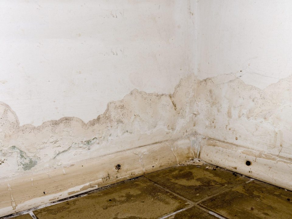 Muffa o risalita capillare su un muro con intonaco degradato